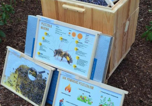 Ul pszczeli z dwunastoma ramkami z dwustronnymi planszami dydaktycznymi.