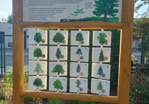 Tablica edukacyjna z elementami manipulacyjnymi Jakie drzewo ze mnie wyrośnie.