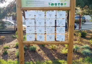 Tablica edukacyjna z elementami manipulacyjnymi Czyj to liść