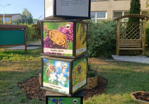 Gra dydaktyczna typu światowid Owady zapylające
